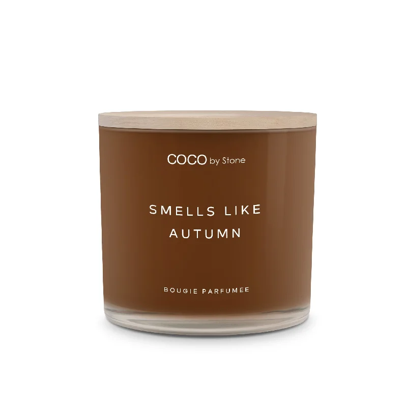 Christmas gift candles with cinnamon scent-15oz Smells Like Autumn Candle