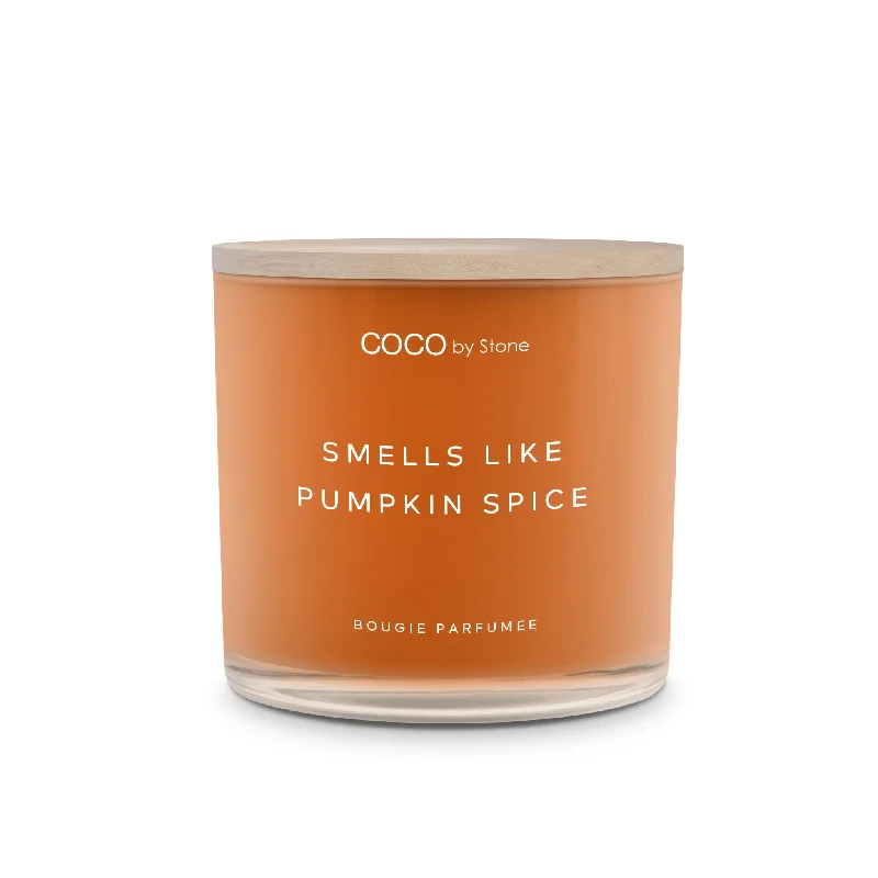 Christmas gift candles with gingerbread scent-15oz Smells Like Pumpkin Spice Candle