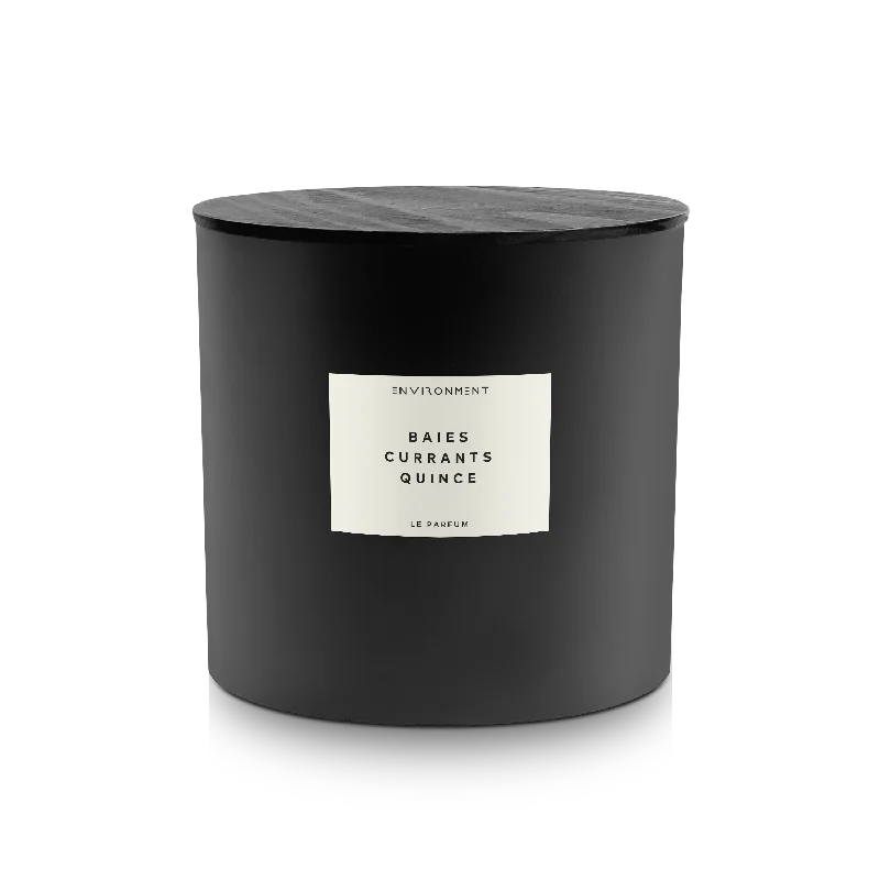 Christmas gift candles with evergreen scent-55oz Baies | Currants | Quince Candle (Inspired by Diptyque Baies®)