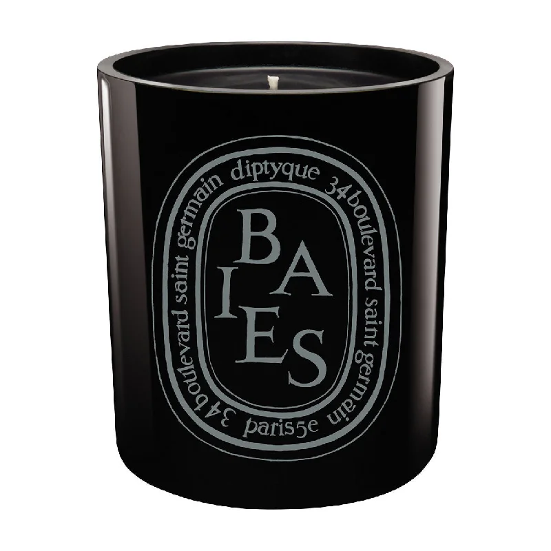 Elegant Christmas gift candles for sophisticated gifts-Baies / Berries Noire Candle