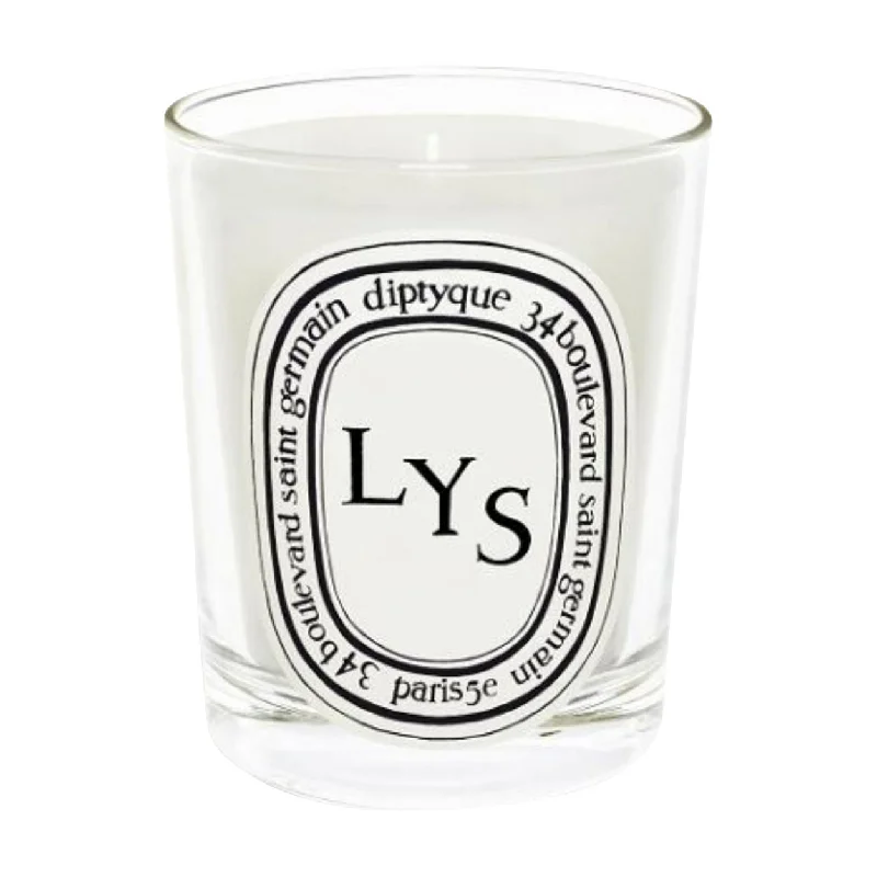 Christmas gift candles with fruity scents for cheerful vibes-LYS Candle