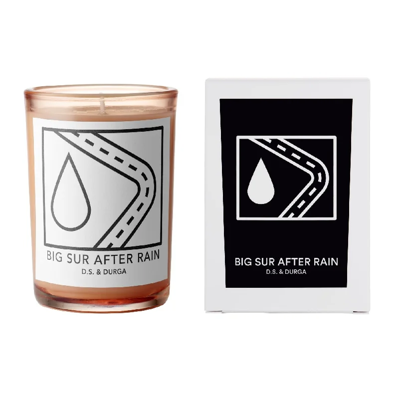 Christmas gift candles for stocking stuffers-Big Sur After Rain Candle