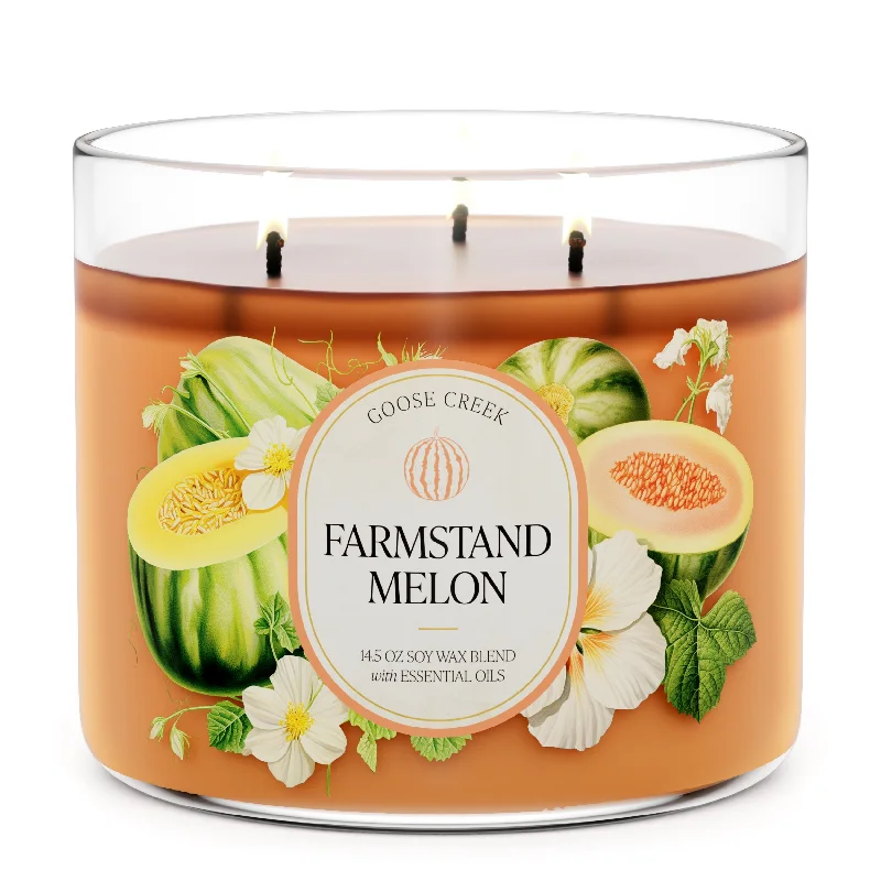 Unique Christmas gift candles for all occasions-Farmstand Melon Large 3-Wick Candle