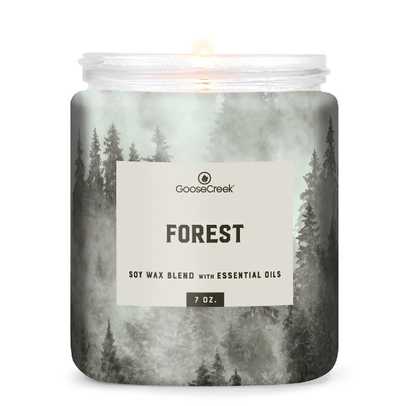 Christmas gift candles with cinnamon and clove scent-Forest Single Wick Candle