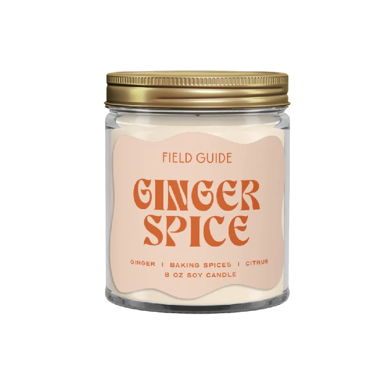 Fragrant Christmas gift candles for festive relaxation-Ginger Spice Soy Candle