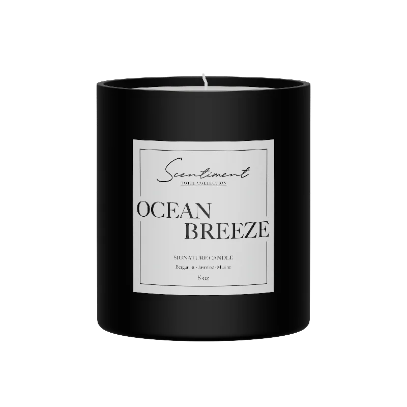 Christmas gift candles for Christmas Eve-Ocean Breeze Candle