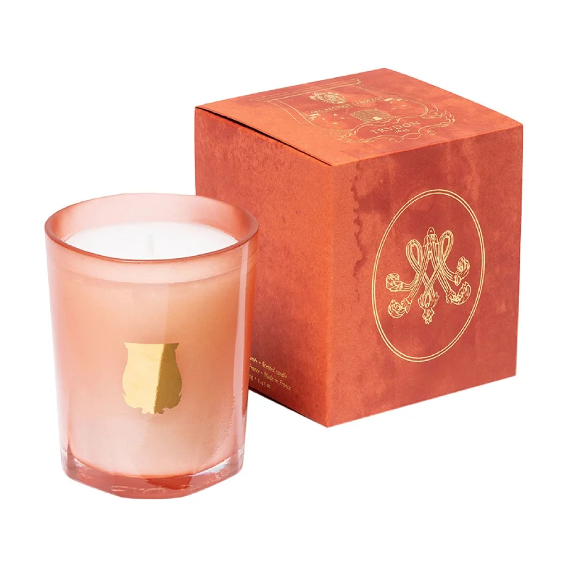 Beautiful Christmas gift candles with seasonal fragrances-Tuileries Classic Candle