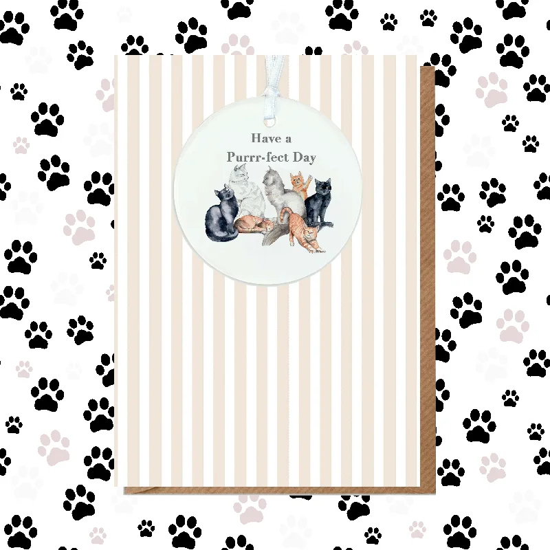 Extra-large blanket series for sharing-A6 Greeting Card with Ceramic Keepsake - Cats Happy Birthday